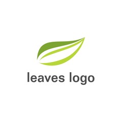leaf, ecology, nature logo design vector