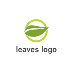 leaf, ecology, nature logo design vector