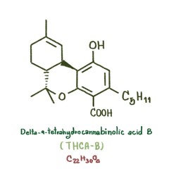 Structure of delta-9-Tetrahydrocannabinol-c4 (THC-C4), delta-9-Tetrahydrocannabinolic acid-c4 (THCA-c4), delta-9-Tetrahydrocannabinolic acid A (THCA-A), delta-9-Tetrahydrocannabinolic acid B (THCA-B)