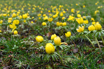 lots of winter nerds