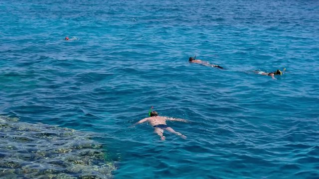 snorkeling over coral reef with clear blue ocean water, top view. Beautiful sea view, shot by drones. People swim in the transparent sea between coral reefs. Aerial view of tourists swimming.