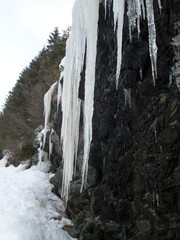 Fototapeta na wymiar frozen icicles in beautiful shapes
