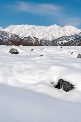 Fototapeta na wymiar 長野県白馬村 雪山の雪景色