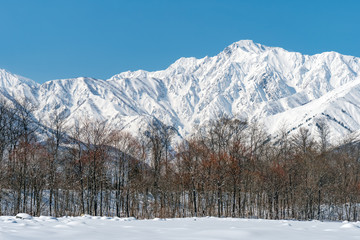 長野県白馬村 雪山の雪景色