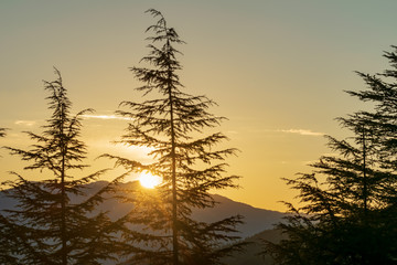 A sunrise photography over the Himalayas, taken from Chail