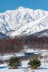 長野県白馬村 雪山と松川の雪景色