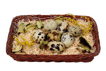 quail eggs in a basket on a white background