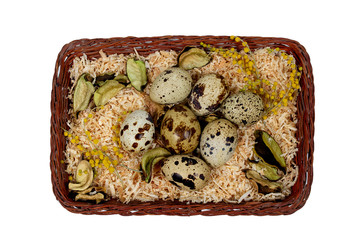 quail eggs in a basket on a white background