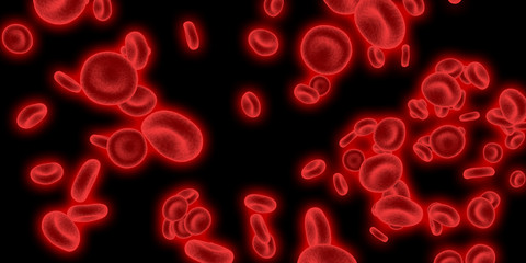 Red Blood Cells Flowing