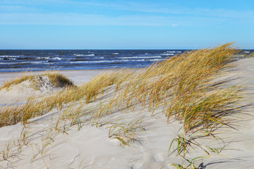 Sandy beach of a Baltic sea.