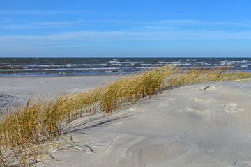 Fototapeta na wymiar Sandy beach of a Baltic sea.
