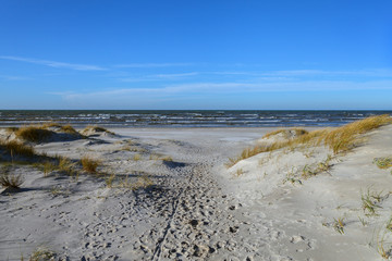 Sandy beach of a Baltic sea.
