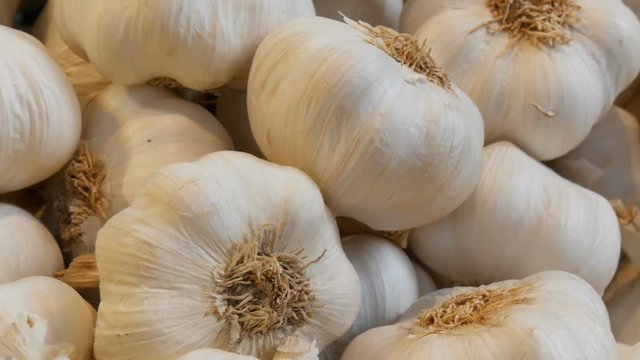 Big beautiful heads of white ripe garlic on the market counter