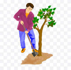 man plant a tree