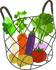 shopping veggie for preparing meal