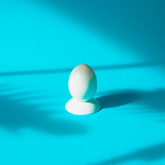 White Easter egg on blue bright background with shadows of palm leaves.  Happy tropical spring holidays concept.