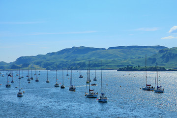 Oban, the town in Scotland