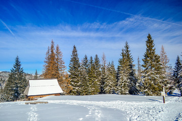 a little wooden house in mountains in the winter
