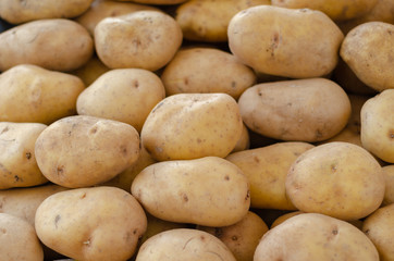 Fresh raw potato. Potatoes on market