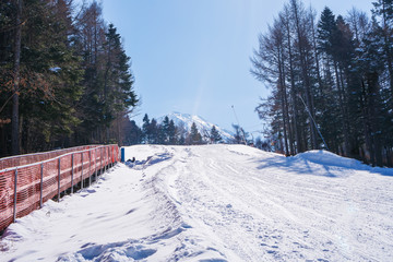 Fototapeta premium Mount Fuji view, Mountain Ski resort of snow valley with pine and Mt. Fuji views on sunny day Winter season, beautiful places for activities ski in Japan
