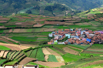 Poombarai village near Kodaikanal