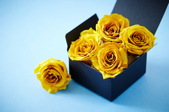 Preserved yellow rose