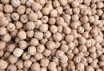 nuts with brown shell grown with organic techniques without chem