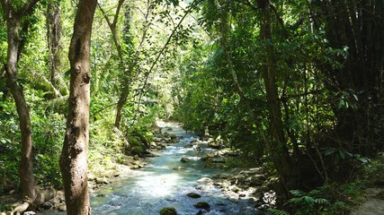 Chutes de Kawasan, Philippines