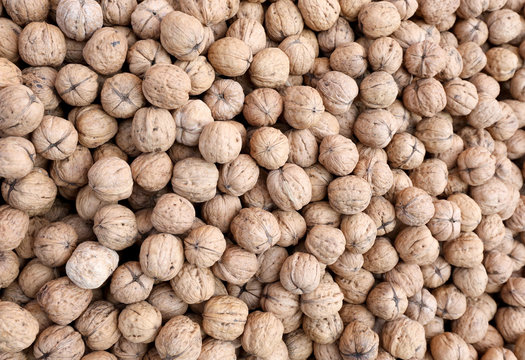 nuts with brown shell grown with organic techniques without chem