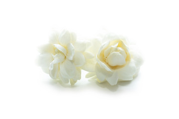 Obraz na płótnie Canvas Jasmine flowers (Arabian Jasmine, Jasminum sambac) isolated in white background.