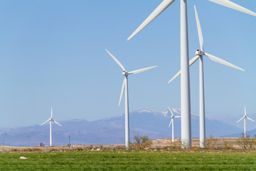 scenic view of a wind farm on a sunny day