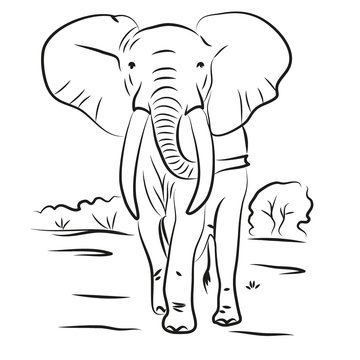 elephant drawn contour black coloring 