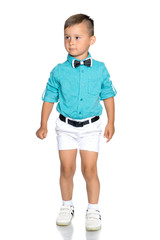 Handsome little boy in full growth