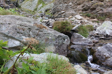 monviso