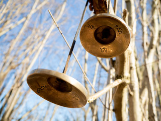 Cymbal sound therapy instrument hanging on a branch close up.