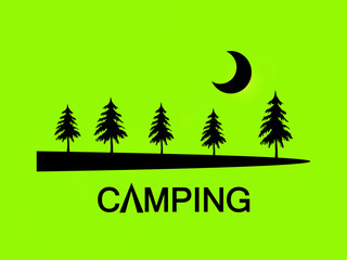 Camping  with pine trees