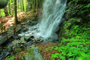Waterfall in the forest