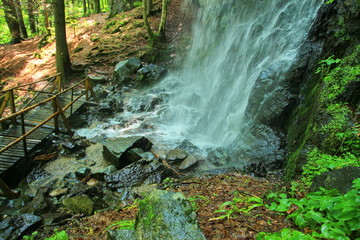 Waterfall in the forest