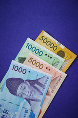 Korean won banknotes