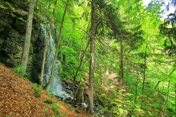 Waterfall in the forest