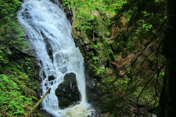 Waterfall in the forest