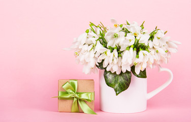 Delicate flowers galanthus on pink background. Gift box with bow and flowers. Snowdrops. Copy space