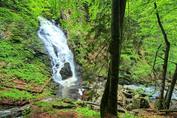 Waterfall in the forest