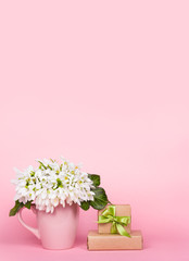 White flowers and gift box. Galanthus on pink background. Snowdrops. Copy space