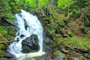 Waterfall in the forest