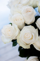 Obraz na płótnie Canvas white roses close-up