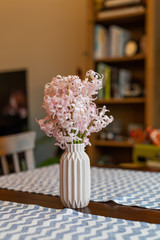 Pink  hyacinth blossom in a small pink vase