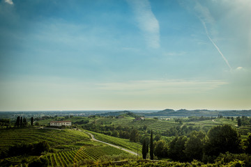 Fototapeta na wymiar Sunset in the vineyards of Rosazzo