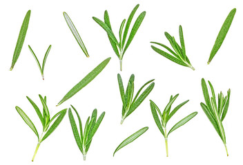 Rosemary twig and leaves isolated on white background, close-up. Top view. Set of images.