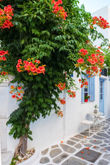Fototapeta premium Widok na typową wąską uliczkę na starym mieście Naoussa, wyspa Paros, Cyklady
